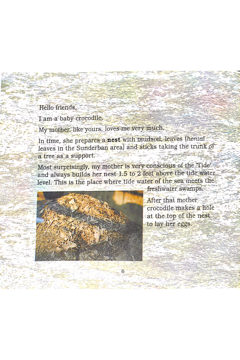 Crocodile