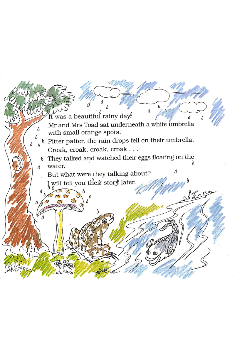 Toad - the Story