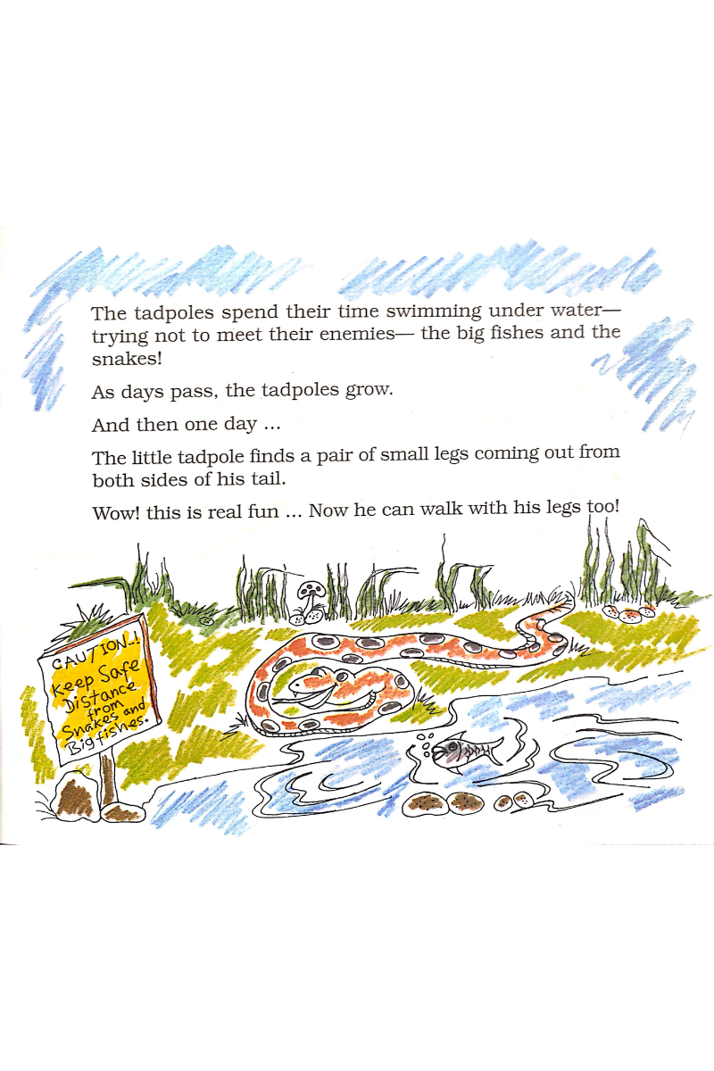 Toad - the Story