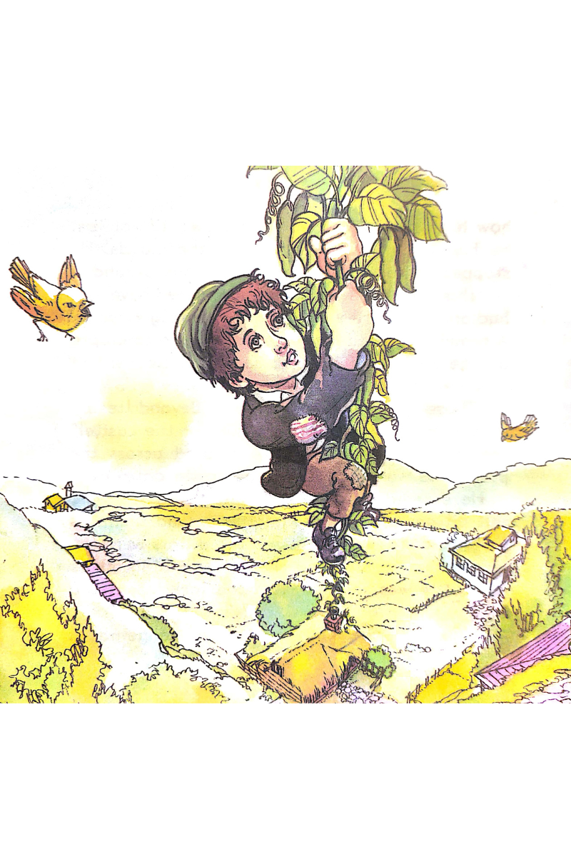 Jack and Benstalk - Rachael Mac Bean