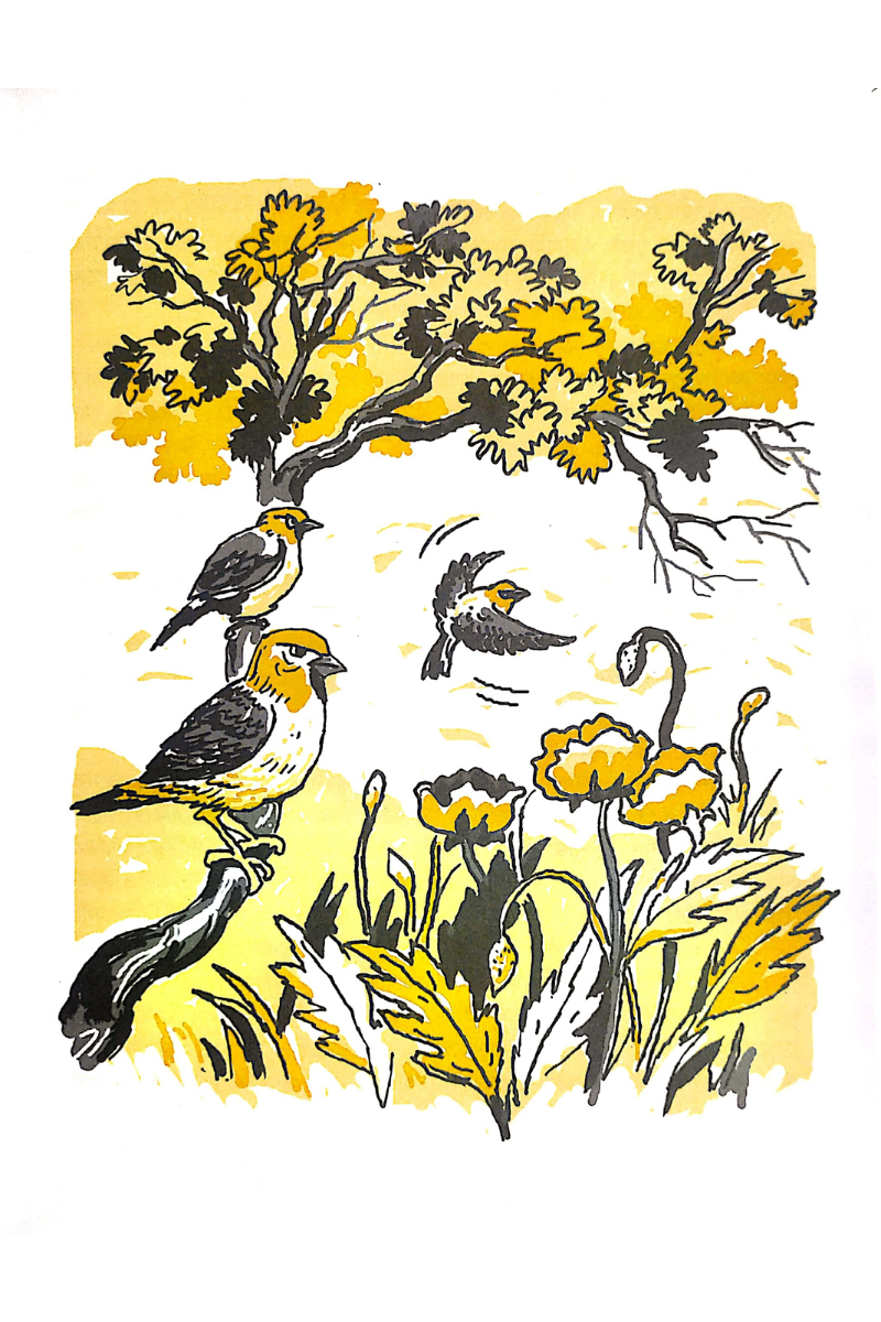 Choruier Chabi - Dipannita Roy