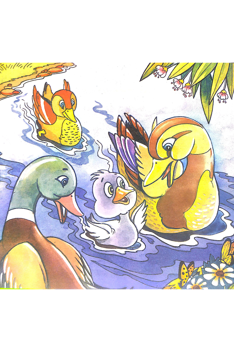 The Ugly Duckling - Rachael Mac Bean