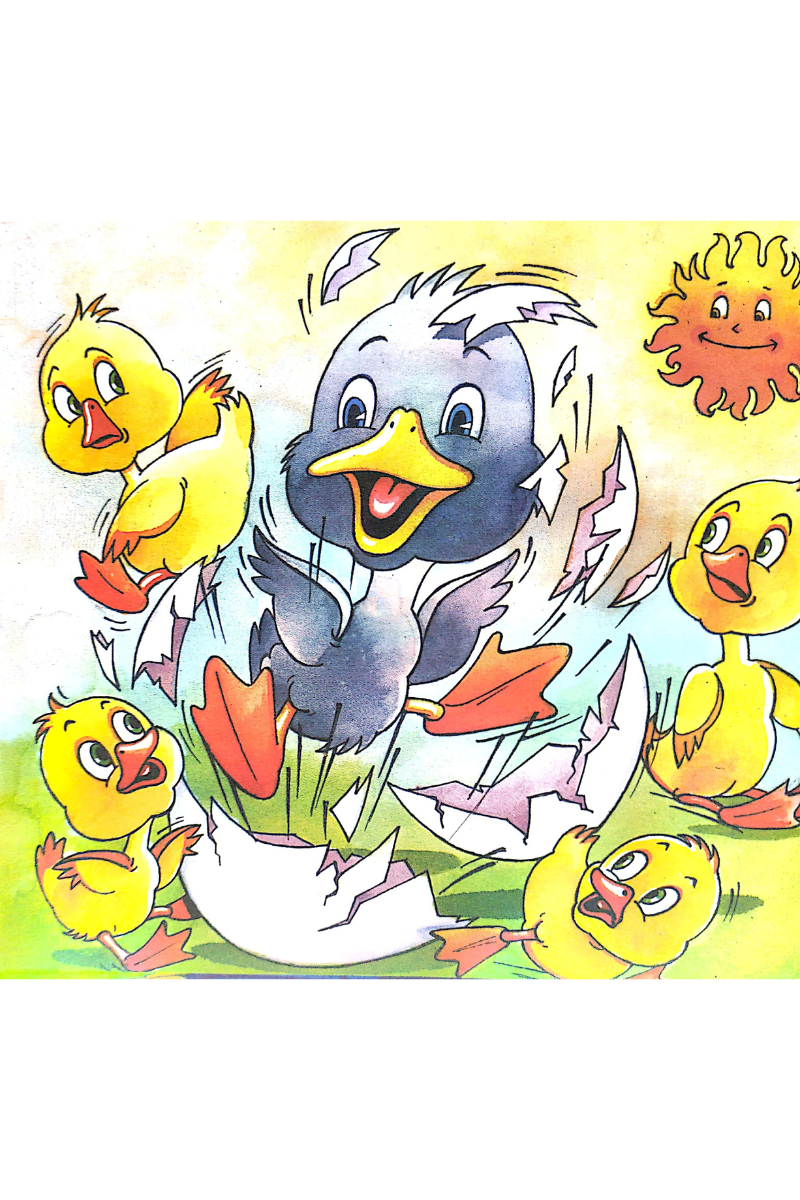 The Ugly Duckling - Rachael Mac Bean