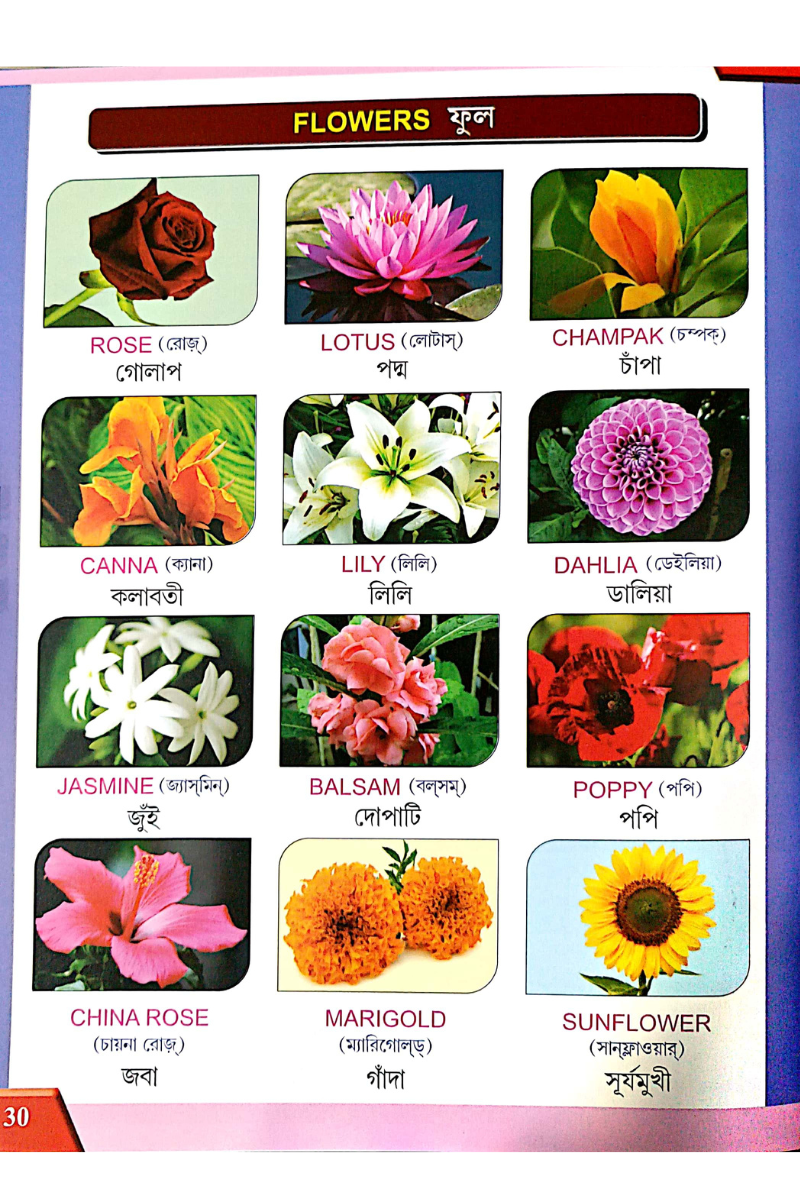 Samsad Anglo Bengali ABC