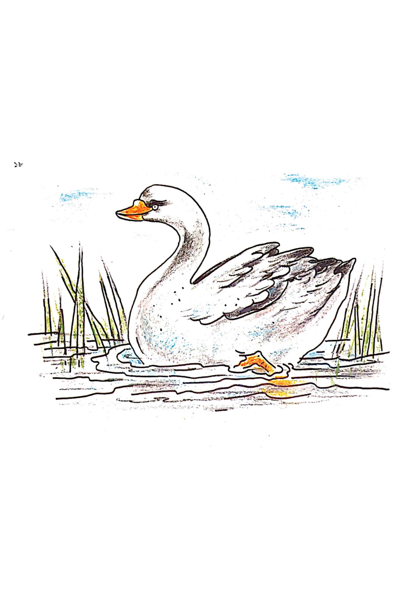 Samsad Sahaj Rang Kora 4