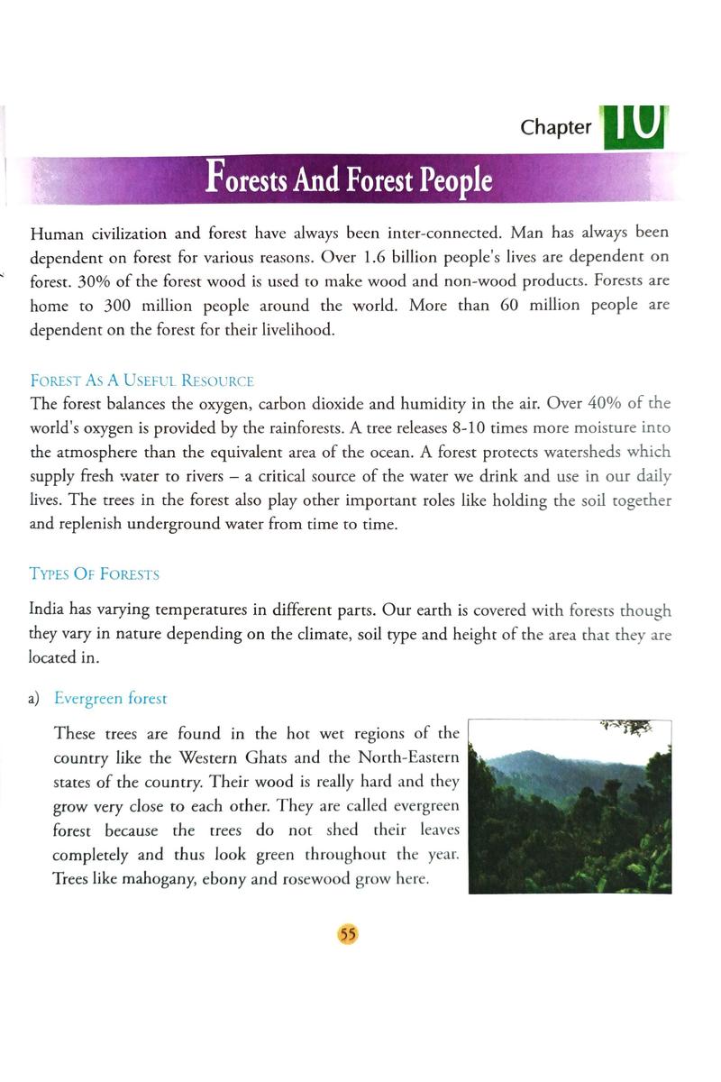 Around Us 5 — Ila Chowdhury