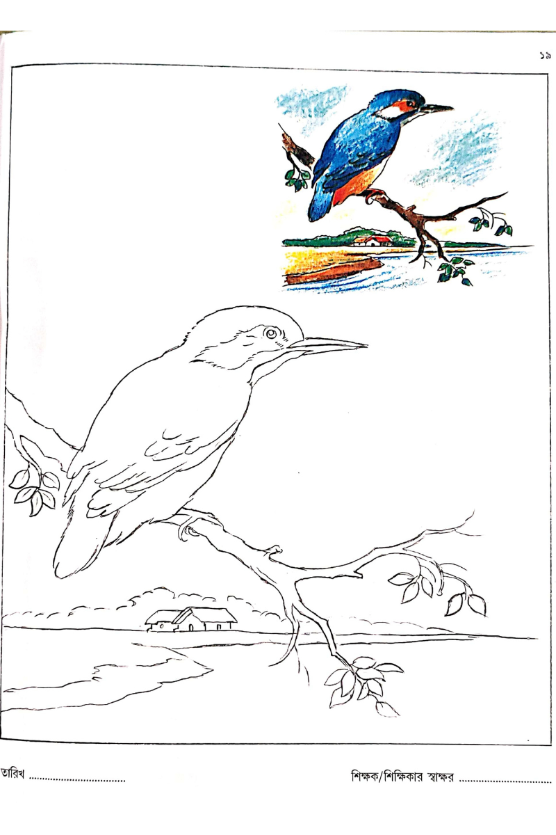 Samsad Rang Niye Khela 5 — Alay Ghoshal