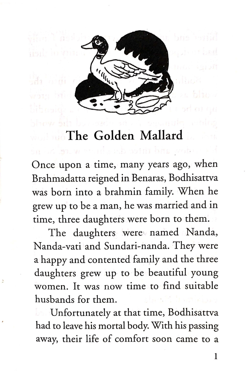 Jataka Tales - Rachael Mac Bean