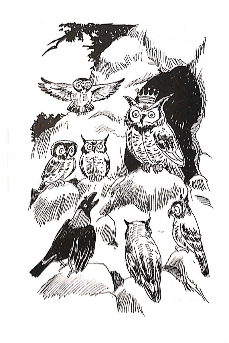 Panchatantra Tales - Rachael Mac Bean