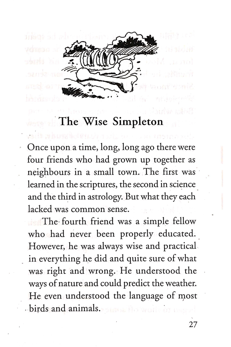 Panchatantra Tales - Rachael Mac Bean
