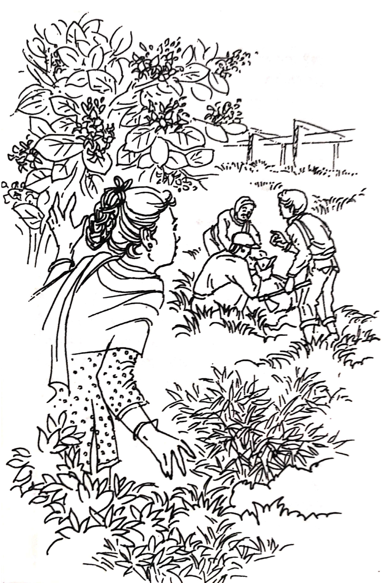 Puranjiter Ratnabhandar — Dipanwita Roy