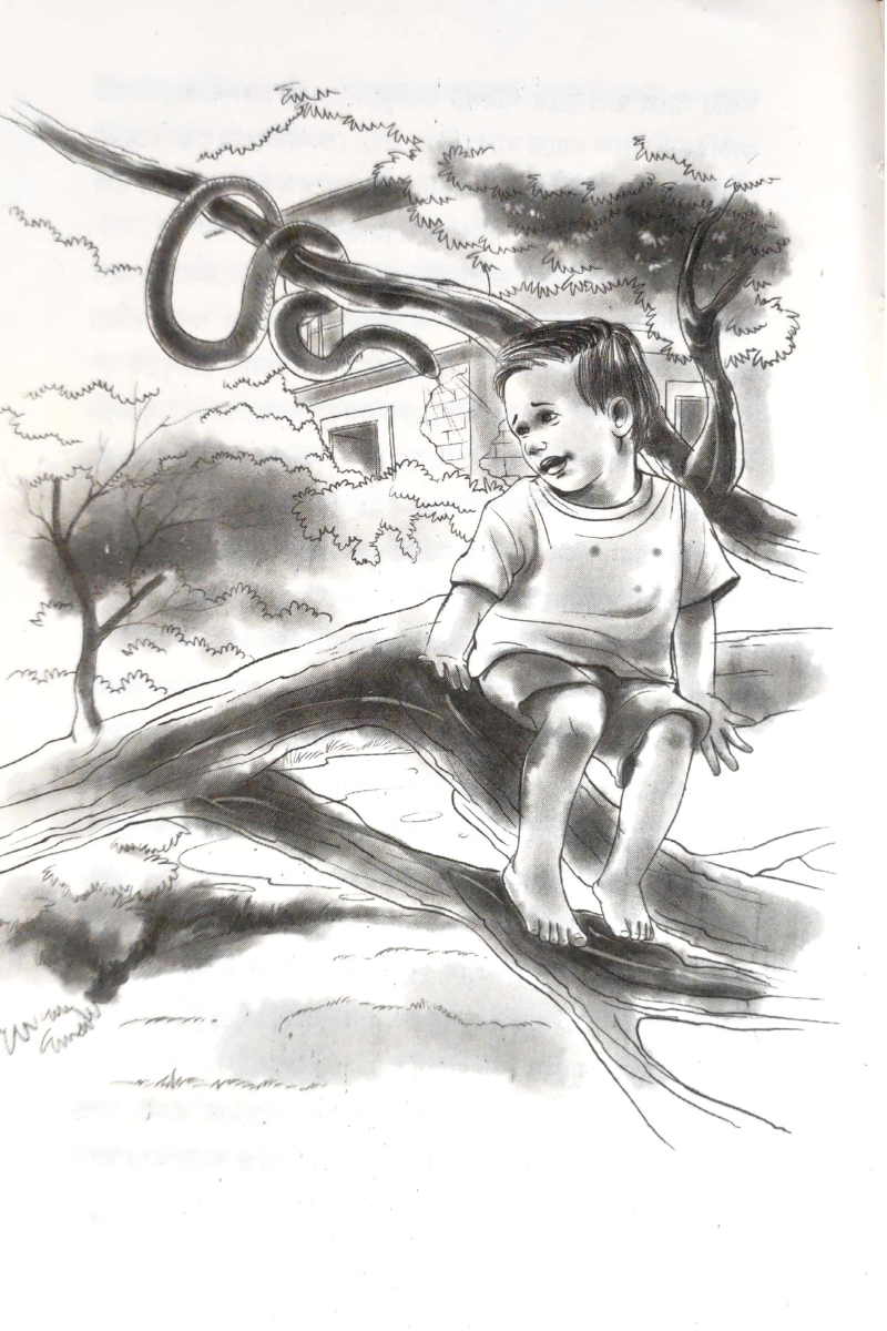 Palampurer Traine — Rajesh Bose