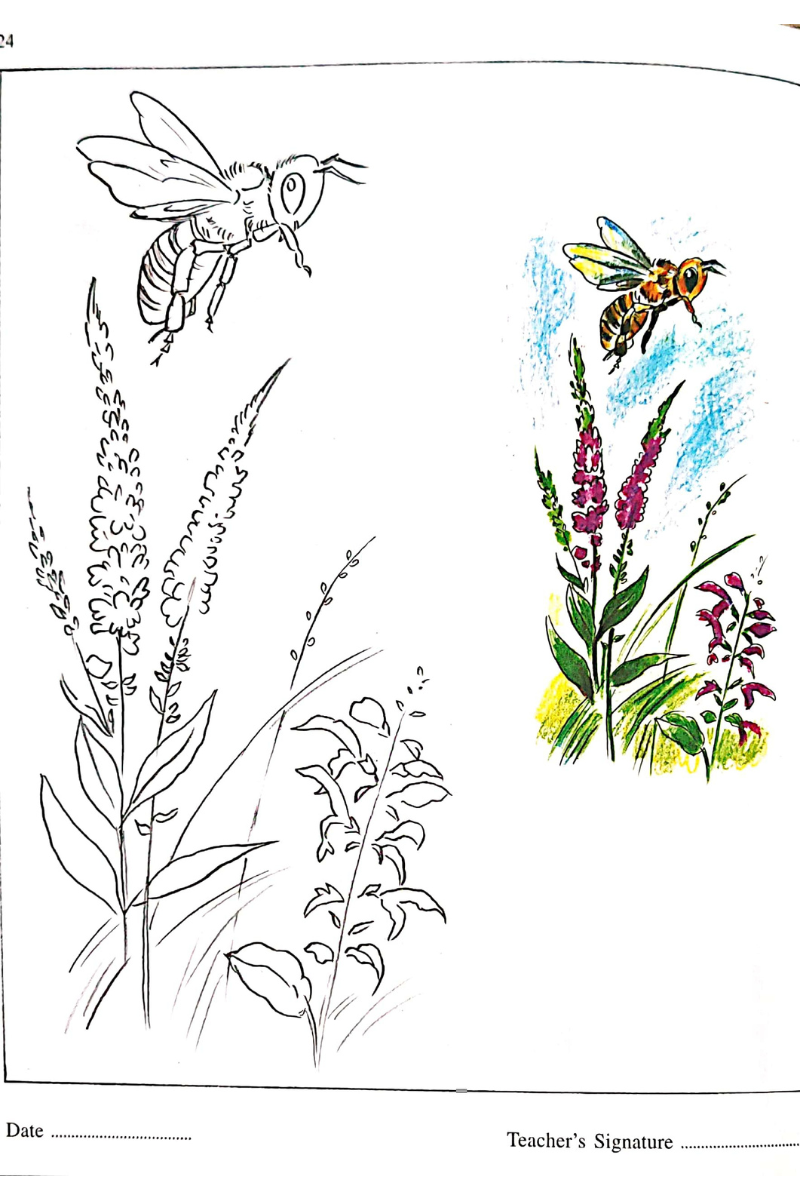 Samsad Play With Colours 4 — Aloy Ghoshal