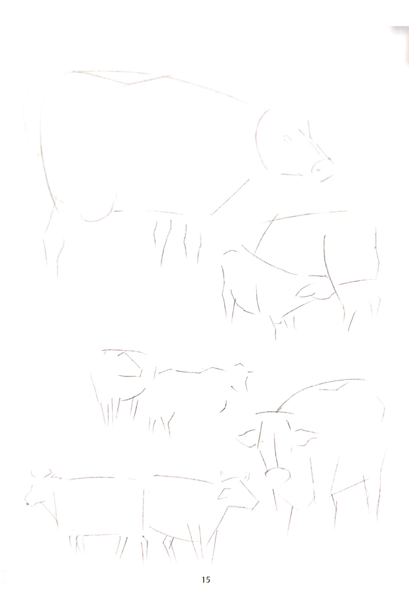 Samsad Sketches (Animals & Birds) — Aloy Ghoshal