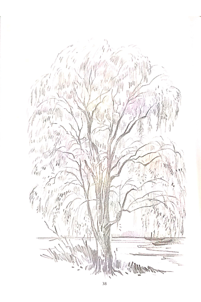 Samsad Sketches (Trees) — Aloy Ghoshal