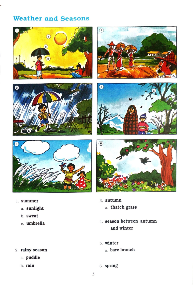 Samsad Picture Dictionary for Juniors - English — Chandana Datta