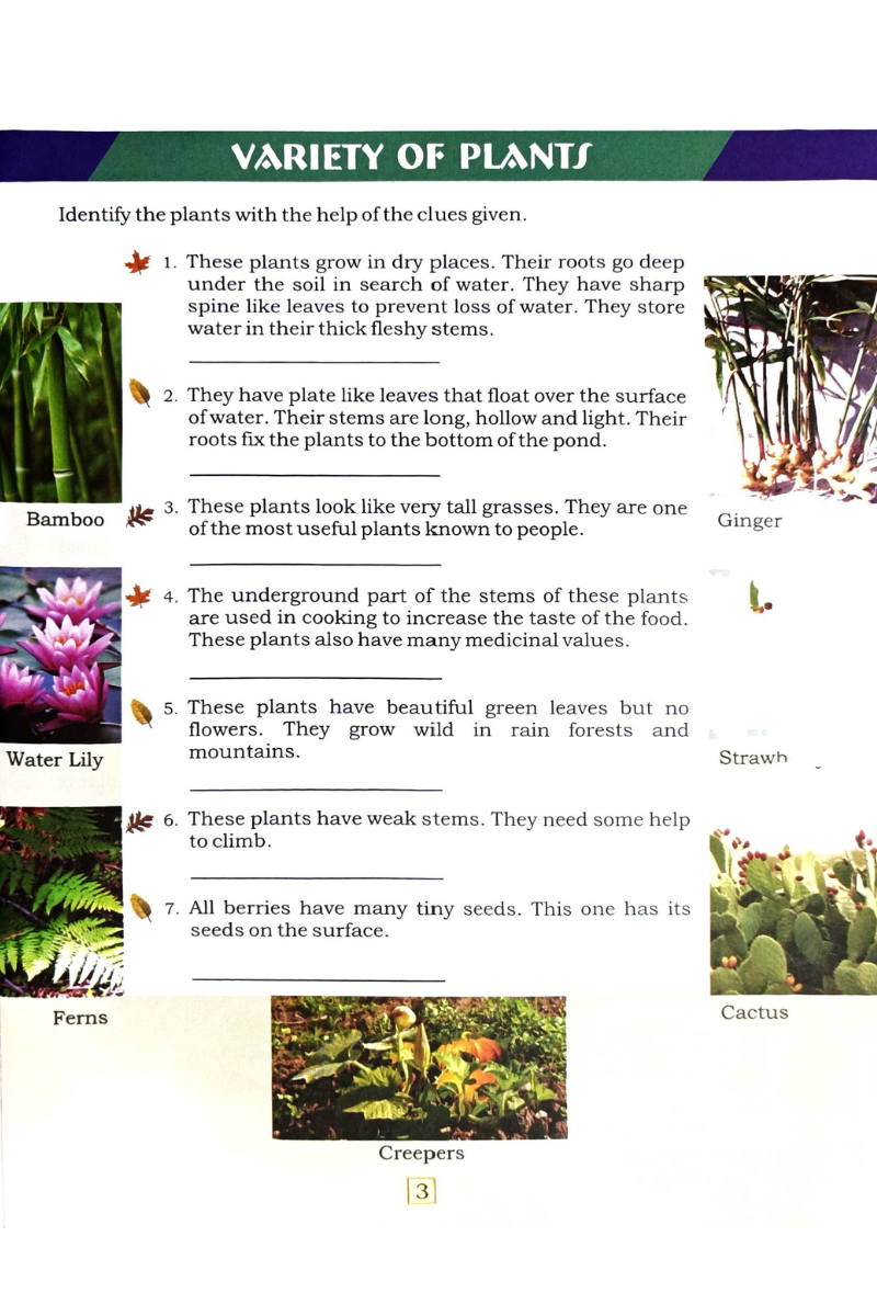 Quest for Knowlwdge 3 — Bhaswati Dutta & Ivy Chakrabarty