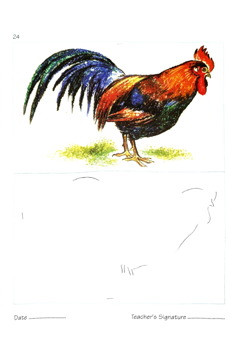 Samsad Learn to Draw and Colour 4 — Alay Ghoshal