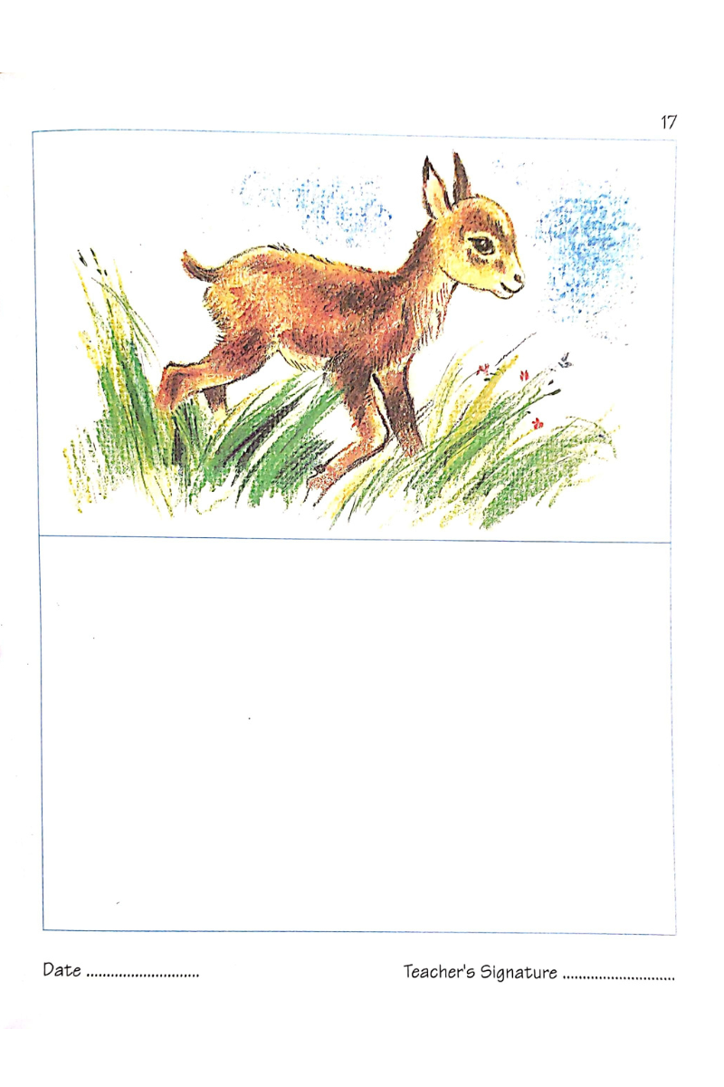 Samsad Learn to Draw and Colour 5 — Alay Ghoshal