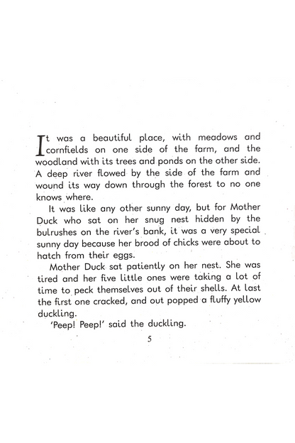 The Ugly Duckling - Rachael Mac Bean