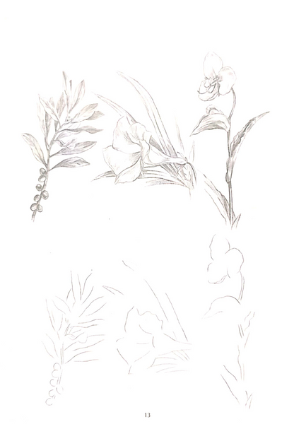 Samsad Sketches (Nature) — Aloy Ghoshal