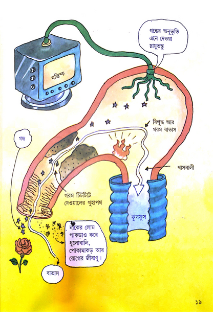 Gablur Bigyan Diary—Sandesh Rahasya