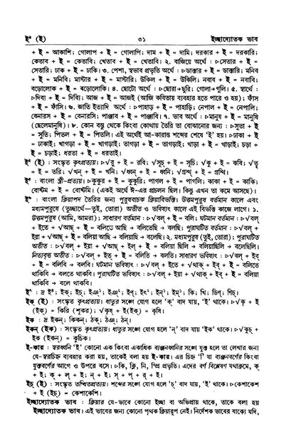 Samsad Byakaran Abhidhan – Ashoke Mukhopadhyay