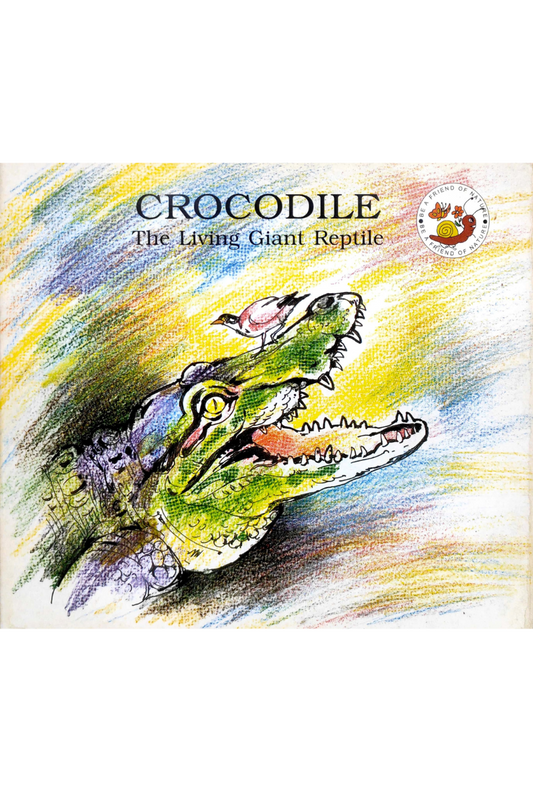 Crocodile